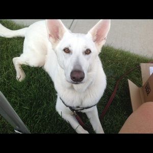 Meet your Posher, Nancy